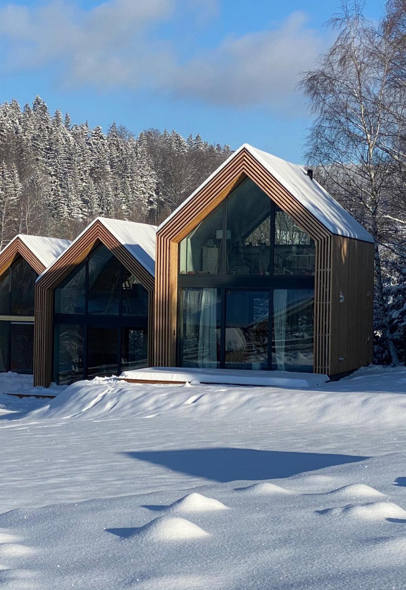 Domki Pod Lasem - Domek Sosnowy Stronie Śląskie Exterior foto